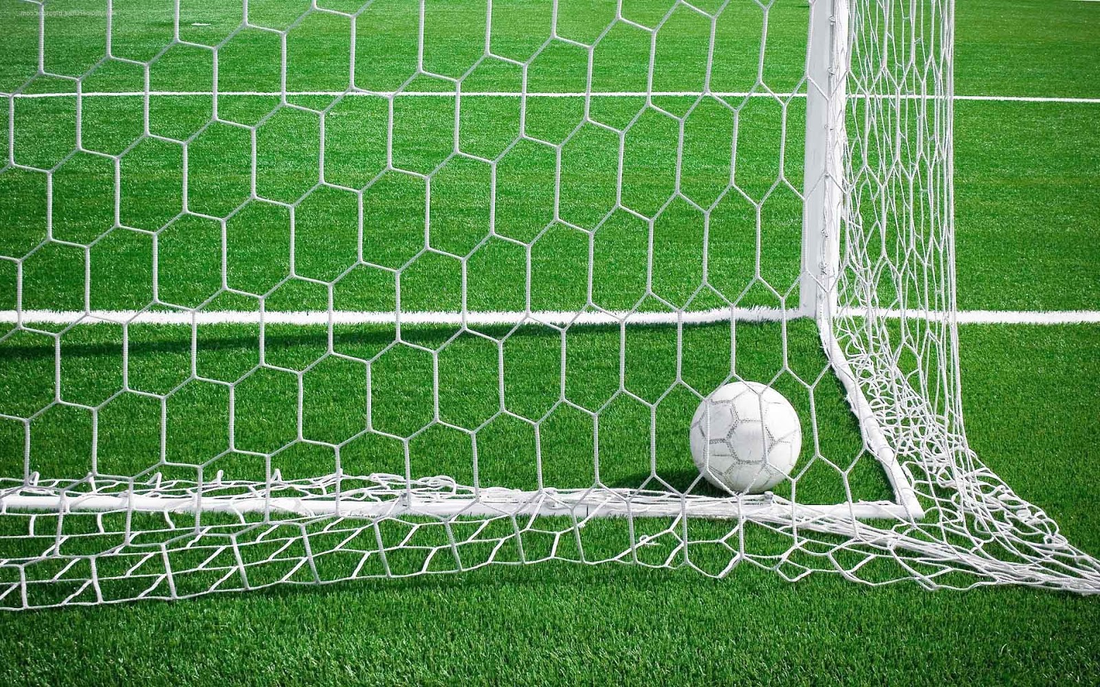 Verzoekschrift vasthoudend kort goal-voetbal-net